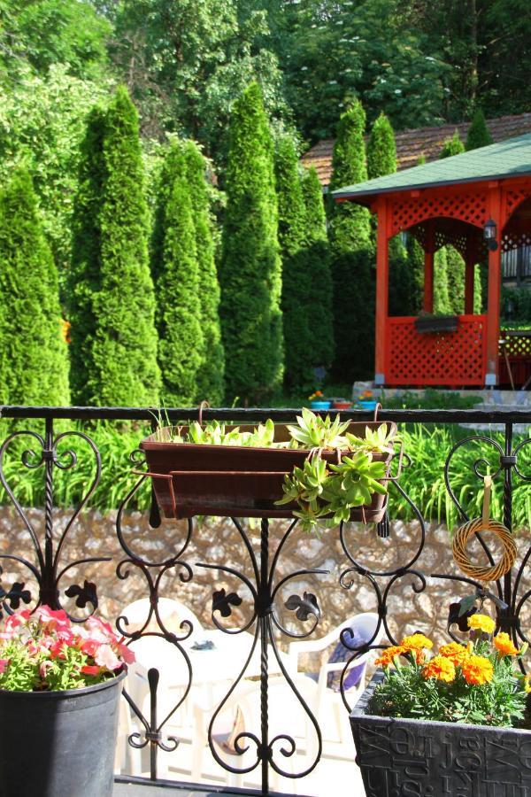 Downtown Green Oasis Apartments サラエヴォ エクステリア 写真
